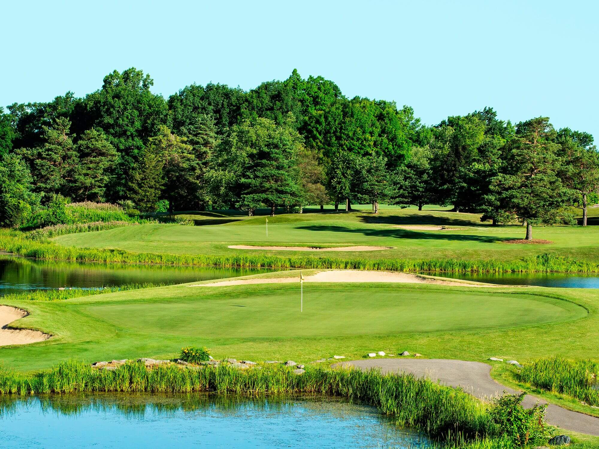 View of golf course green